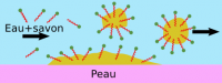 /album/a1/peau-2-png/